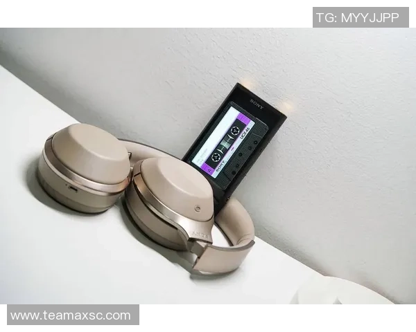 索尼影视电视网全面掌控印度板球赛事转播市场的战略布局与影响分析 索尼影视电视网全面掌控印度板球赛事转播市场的战略布局与影响分析